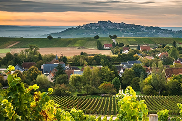 Domaine Roger Neveu, Sancerre & Pouilly Fumé