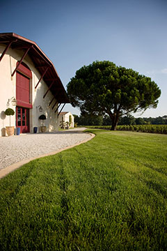Domaine de Chevalier – Grand Cru Classé uit Pessac-Léognan