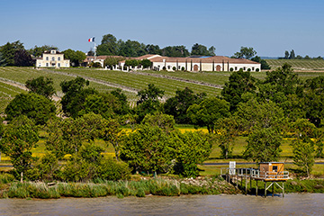 Château de La Montrose, Saint-Estèphe AOP