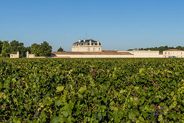 Château Labegorce, Margaux