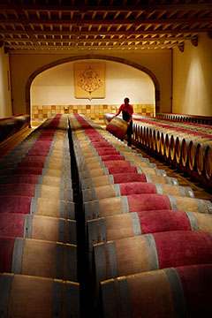 Château Phelan Segur, Saint-Estèphe AOP