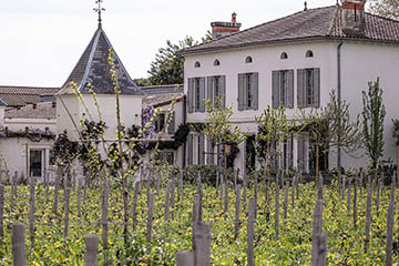 Château Quinault l’Enclos, Saint Émilion Grand Cru