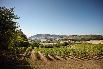 Ardèche, Louis Latour