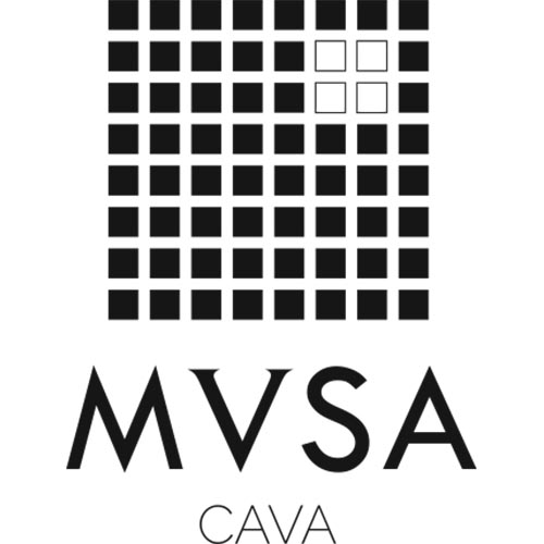 Meer over MVSA